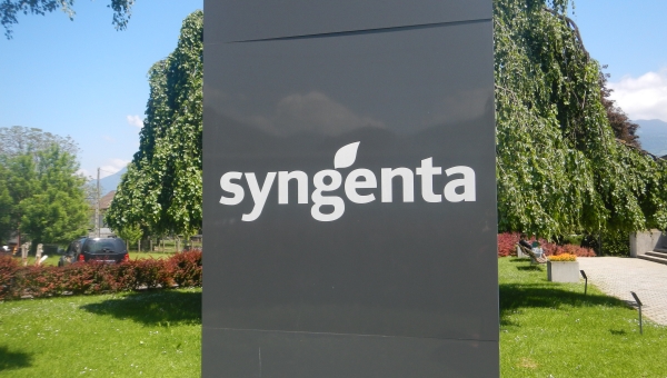 Le tribunal cantonal déboute Syngenta dans l'affaires des négociations salariales 